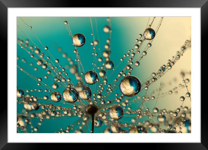 Teal Dandy Drops Framed Mounted Print by Sharon Johnstone