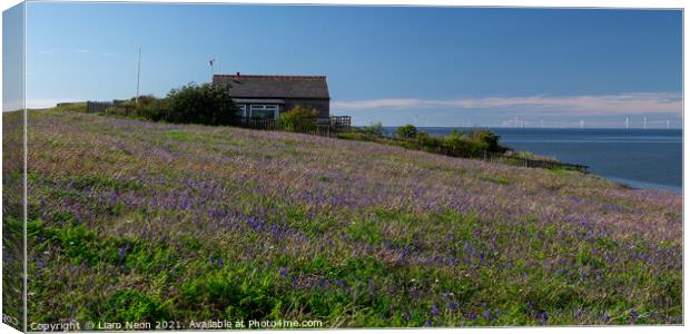 Hilbre Bluebell Meadow Canvas Print by Liam Neon