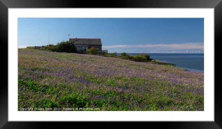 Hilbre Bluebell Meadow Framed Mounted Print by Liam Neon