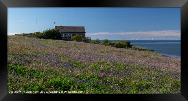 Hilbre Bluebell Meadow Framed Print by Liam Neon