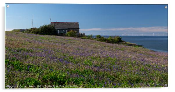 Hilbre Bluebell Meadow Acrylic by Liam Neon