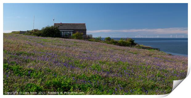 Hilbre Bluebell Meadow Print by Liam Neon