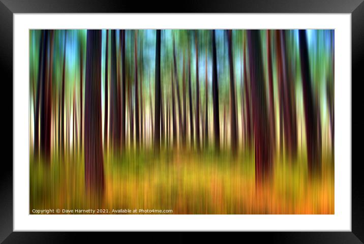 Through the Pines 12 Framed Mounted Print by Dave Harnetty
