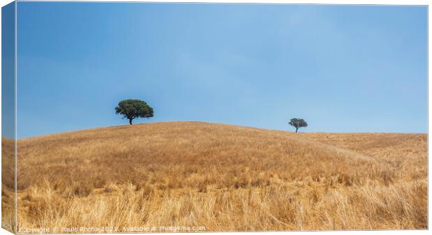 Alentejo countryside landscape, Portugal Canvas Print by Paulo Rocha