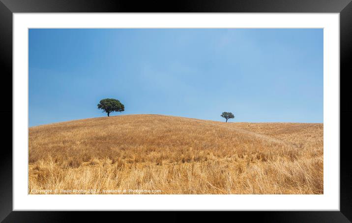 Alentejo countryside landscape, Portugal Framed Mounted Print by Paulo Rocha