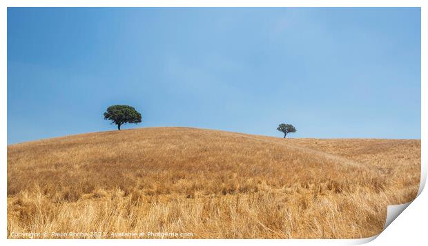 Alentejo countryside landscape, Portugal Print by Paulo Rocha