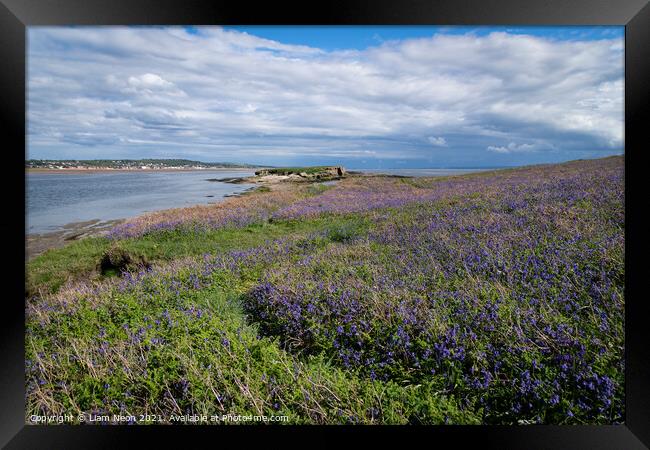 Hilbre Bluebells Framed Print by Liam Neon