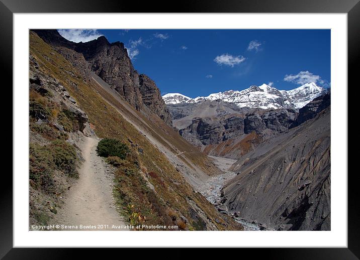The Path to Thorung Phedi Framed Mounted Print by Serena Bowles