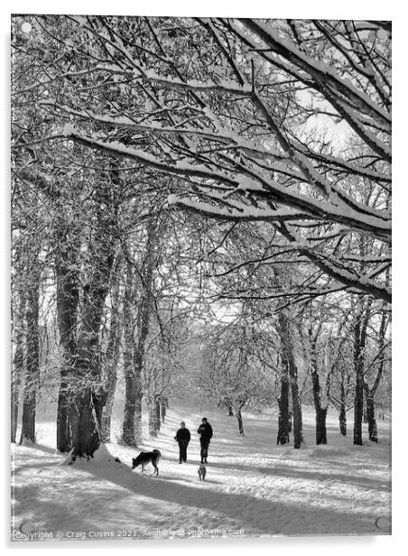 A winter walk in the park Acrylic by Wall Art by Craig Cusins