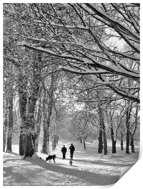 A winter walk in the park Print by Wall Art by Craig Cusins
