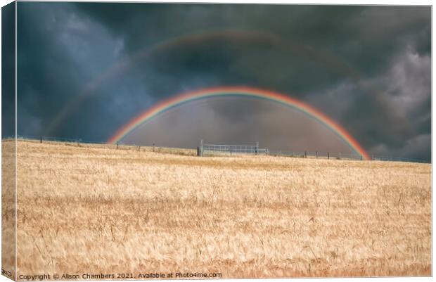  Rainbow Canvas Print by Alison Chambers