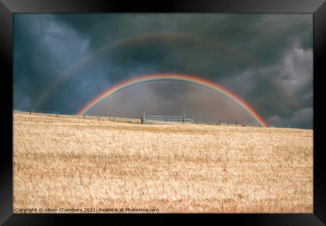  Rainbow Framed Print by Alison Chambers