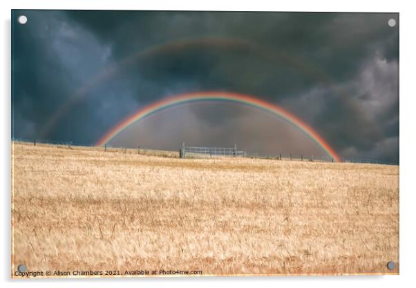  Rainbow Acrylic by Alison Chambers