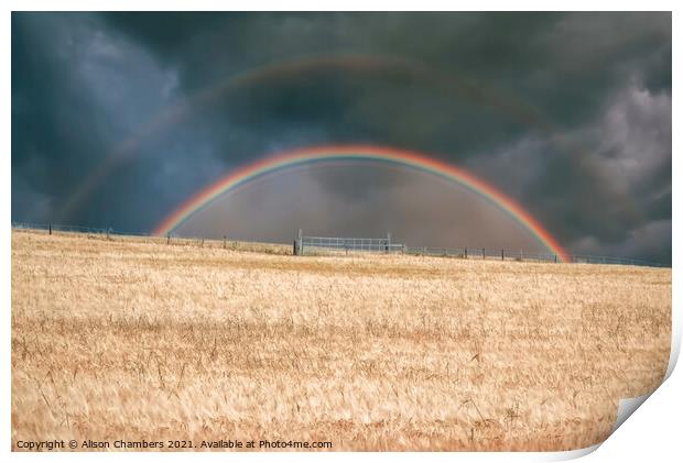  Rainbow Print by Alison Chambers