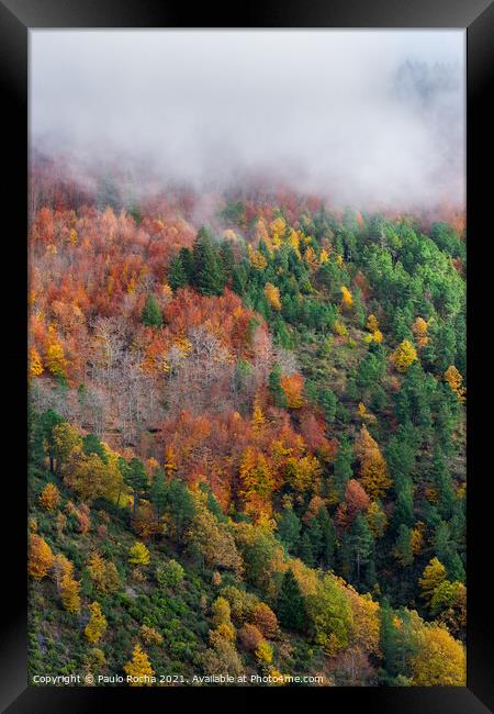 Hillside colorful autumn landscape Framed Print by Paulo Rocha