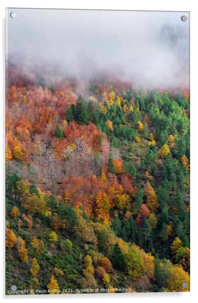 Hillside colorful autumn landscape Acrylic by Paulo Rocha