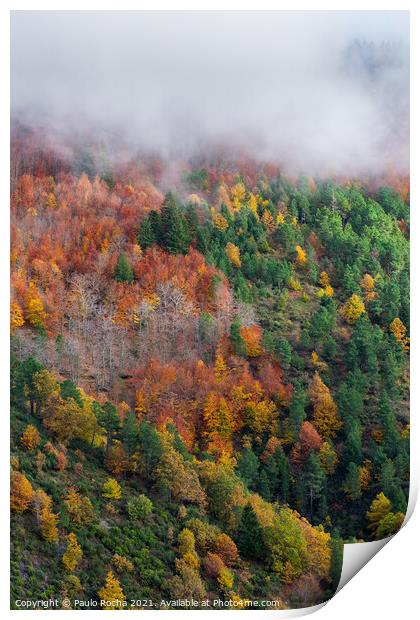 Hillside colorful autumn landscape Print by Paulo Rocha