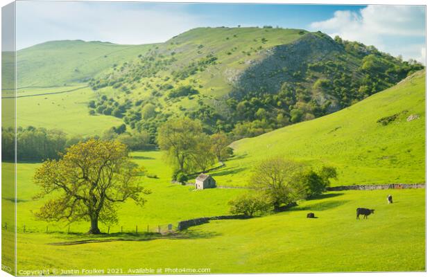 Dovedale, Peak District, Derbyshire Canvas Print by Justin Foulkes