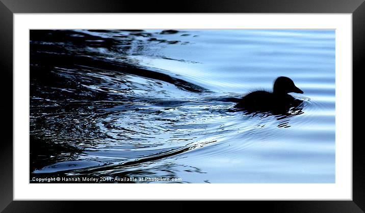 Duckling Silhouette Framed Mounted Print by Hannah Morley