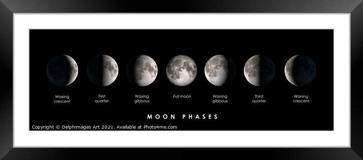Moon phases panoramic photocollage Framed Mounted Print by Delphimages Art