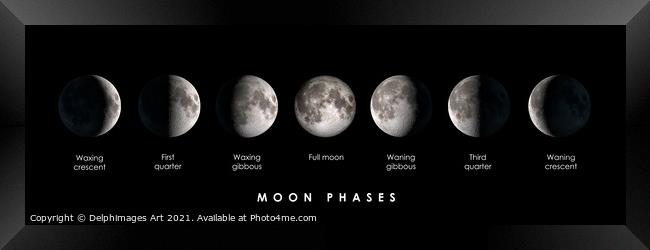 Moon phases panoramic photocollage Framed Print by Delphimages Art