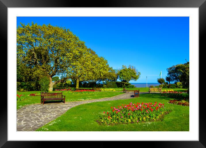 Beautiful gardens in spring time in Frinton-on-Sea Framed Mounted Print by Paula Tracy