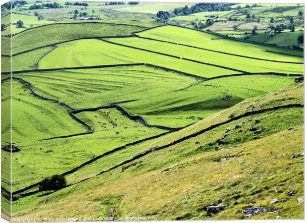 Meadows in Malhamdale from above Gordale Scar Canvas Print by Mark Sunderland