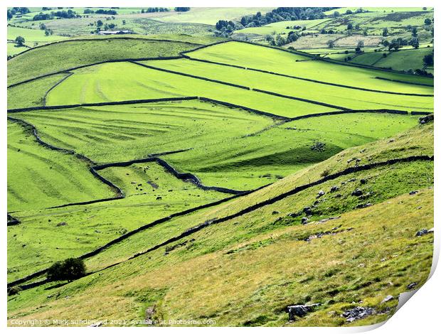 Meadows in Malhamdale from above Gordale Scar Print by Mark Sunderland