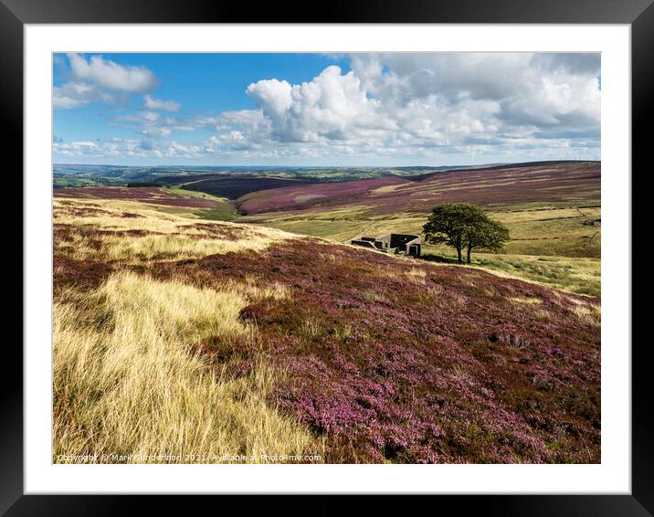 Top Withins on Haworth Moor Framed Mounted Print by Mark Sunderland