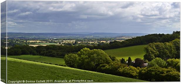 South Downs. Canvas Print by Donna Collett