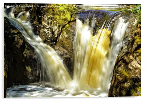 Pecca Twin Falls at Ingleton. Acrylic by David Birchall