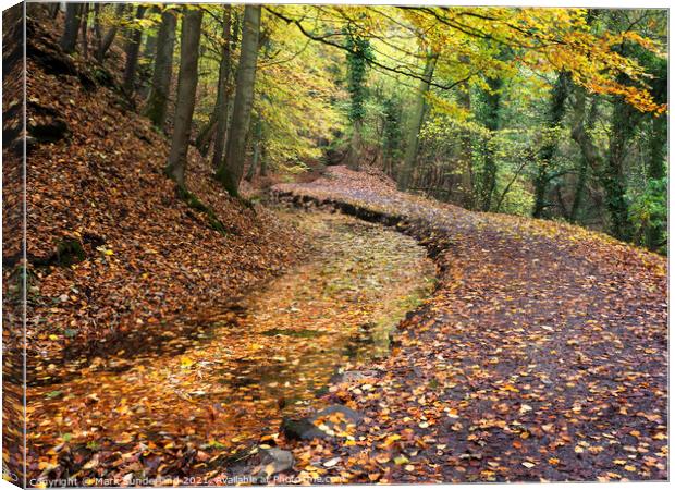 Skipton Castle Woods in Autumn Canvas Print by Mark Sunderland
