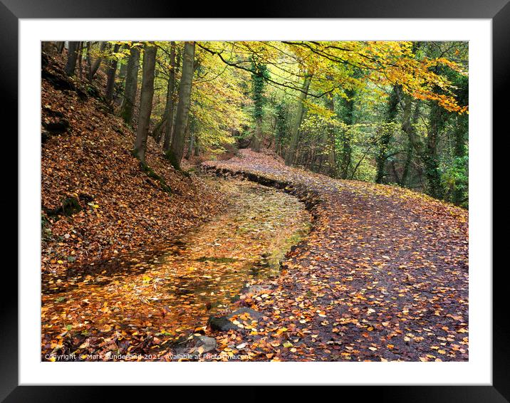 Skipton Castle Woods in Autumn Framed Mounted Print by Mark Sunderland
