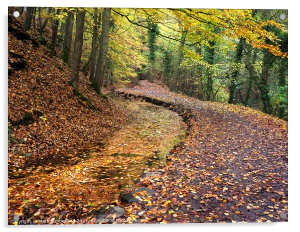 Skipton Castle Woods in Autumn Acrylic by Mark Sunderland