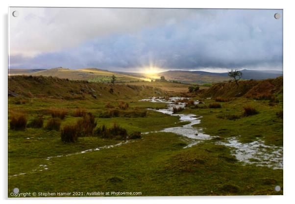 Delight of Dartmoor Acrylic by Stephen Hamer