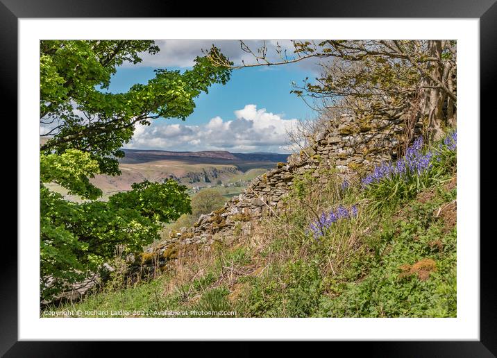 Over to Holwick, Teesdale from Stoney Gill Head in Spring Framed Mounted Print by Richard Laidler