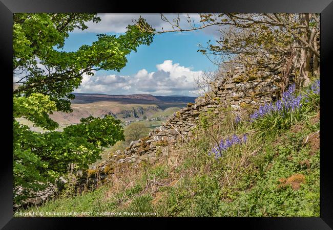 Over to Holwick, Teesdale from Stoney Gill Head in Spring Framed Print by Richard Laidler