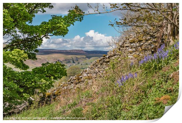 Over to Holwick, Teesdale from Stoney Gill Head in Spring Print by Richard Laidler