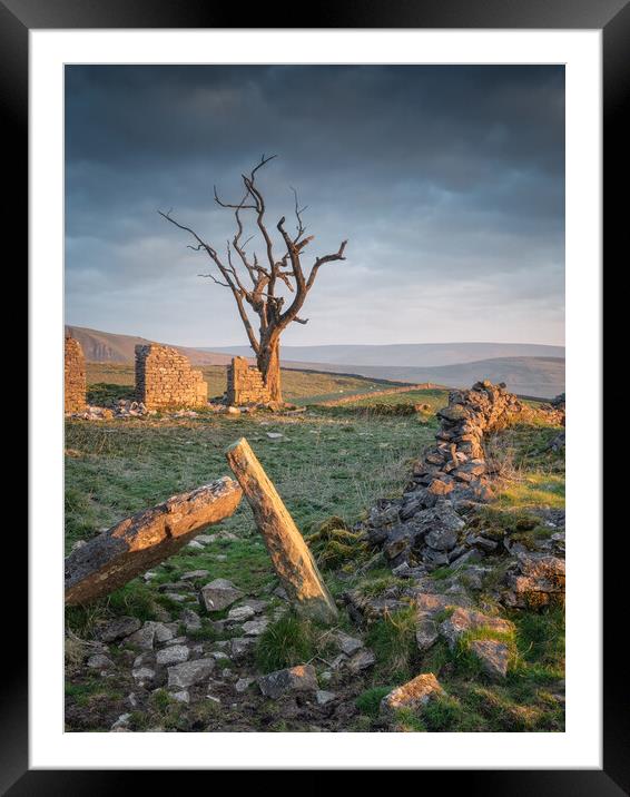 Cow Low Tree Framed Mounted Print by Paul Andrews