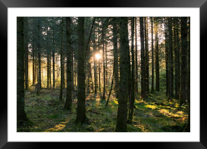Sunset through trees Drumlarnrig castle Dumfries  Framed Mounted Print by christian maltby