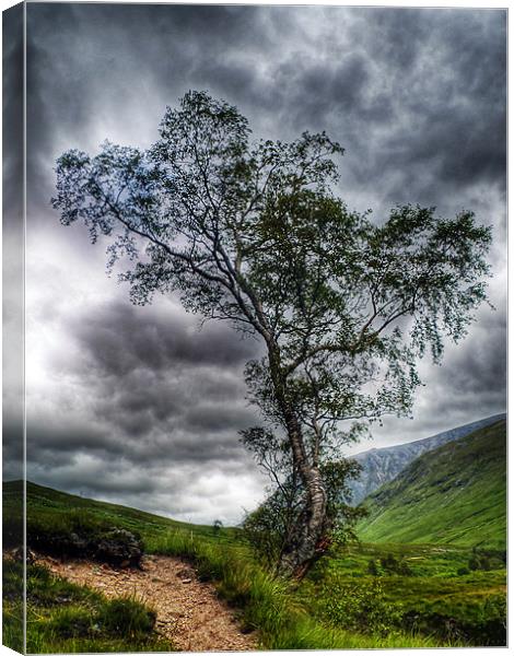 Glen Etive, The Highlands Canvas Print by Aj’s Images