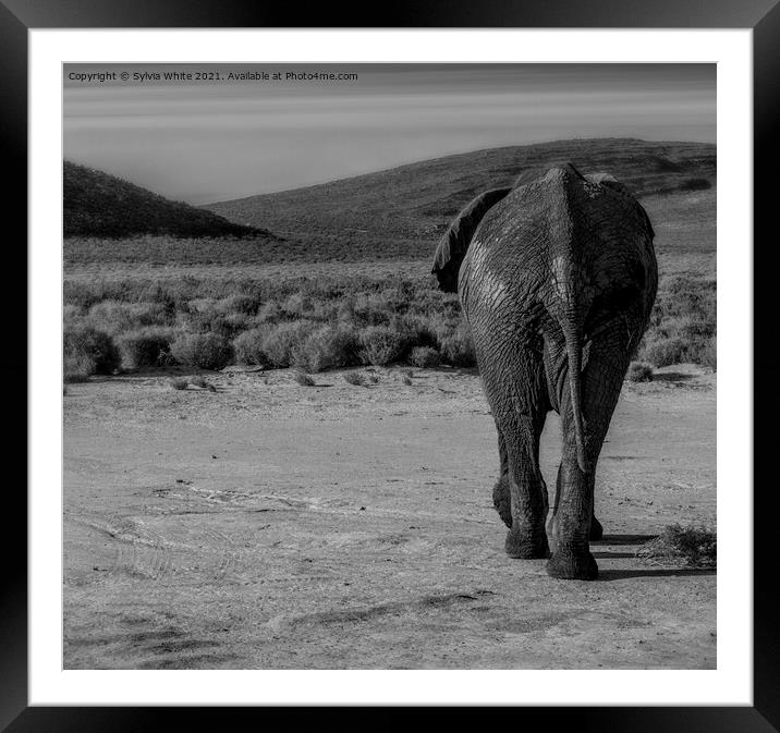 behind Framed Mounted Print by Sylvia White