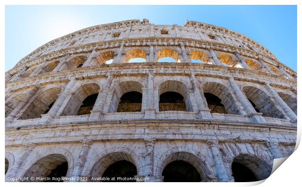 The Colosseum in Rome, Italy Print by Marcin Rogozinski