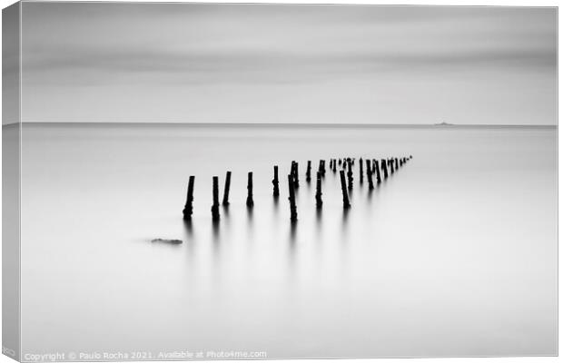 Pillars in the water Canvas Print by Paulo Rocha