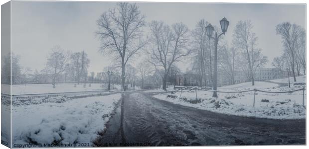 Foggy covered in snow city park in winter Canvas Print by Maria Vonotna