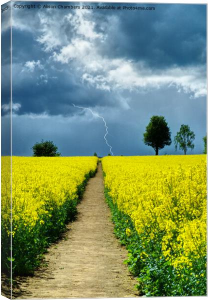 Approaching Storm Canvas Print by Alison Chambers