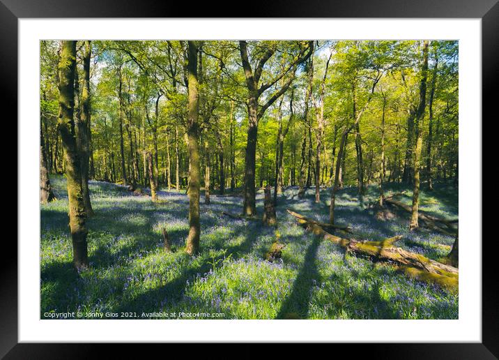 Fishgarth's Wood Bluebells  Framed Mounted Print by Jonny Gios