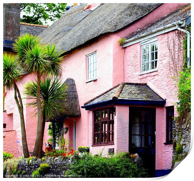 Pink Thatched cottage. Print by john hill