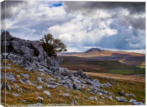 Ingleborough from Tow Scar Canvas Print by David McCulloch