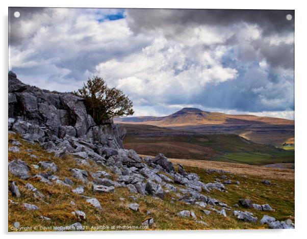 Ingleborough from Tow Scar Acrylic by David McCulloch